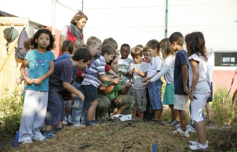 Alumnes de l'escola Turó de Can Mates aprenen des de l'hort. FOTO: A. Ribera