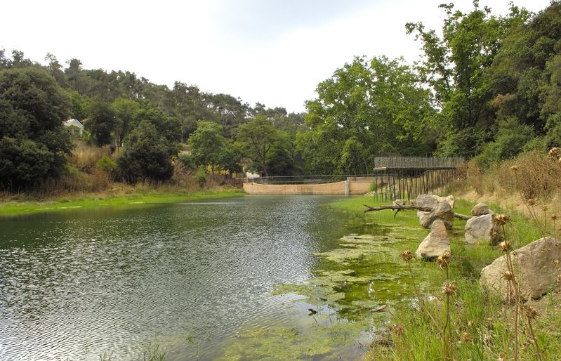 El Pantà de Vallvidrera sense estar congelat FOTO: Cedida