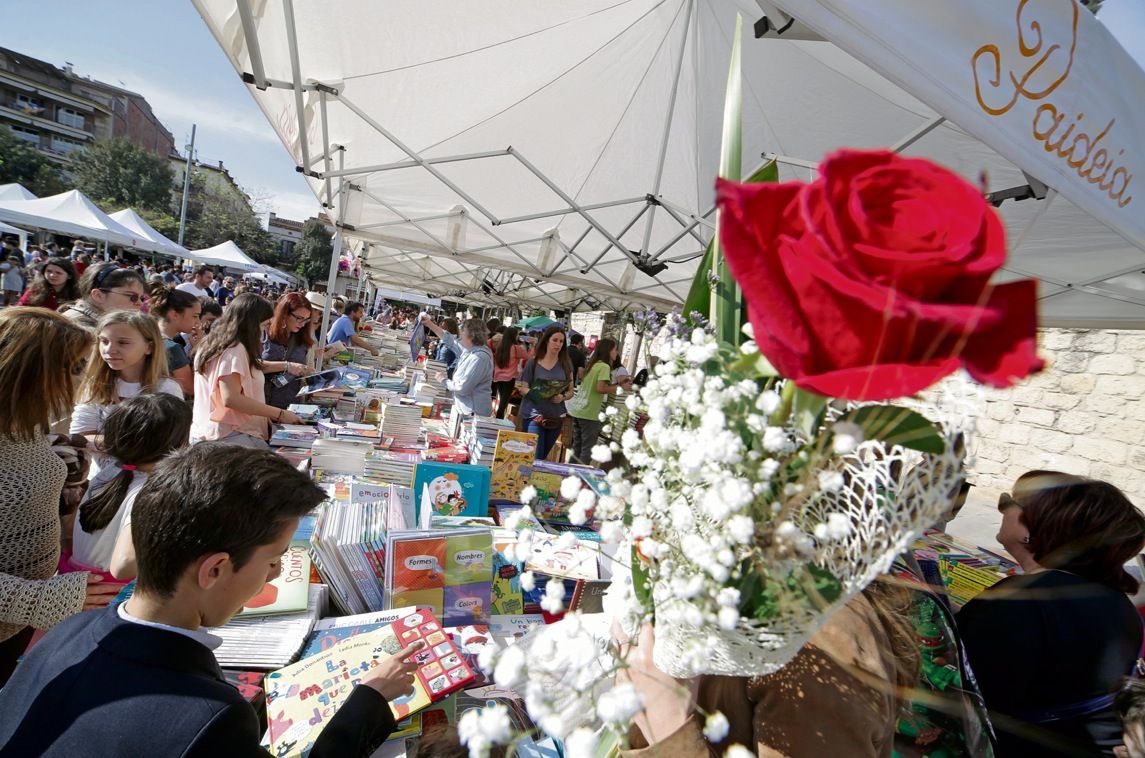 La rosa vermella, la m&eacute;s escollida. FOTO: Artur Ribera