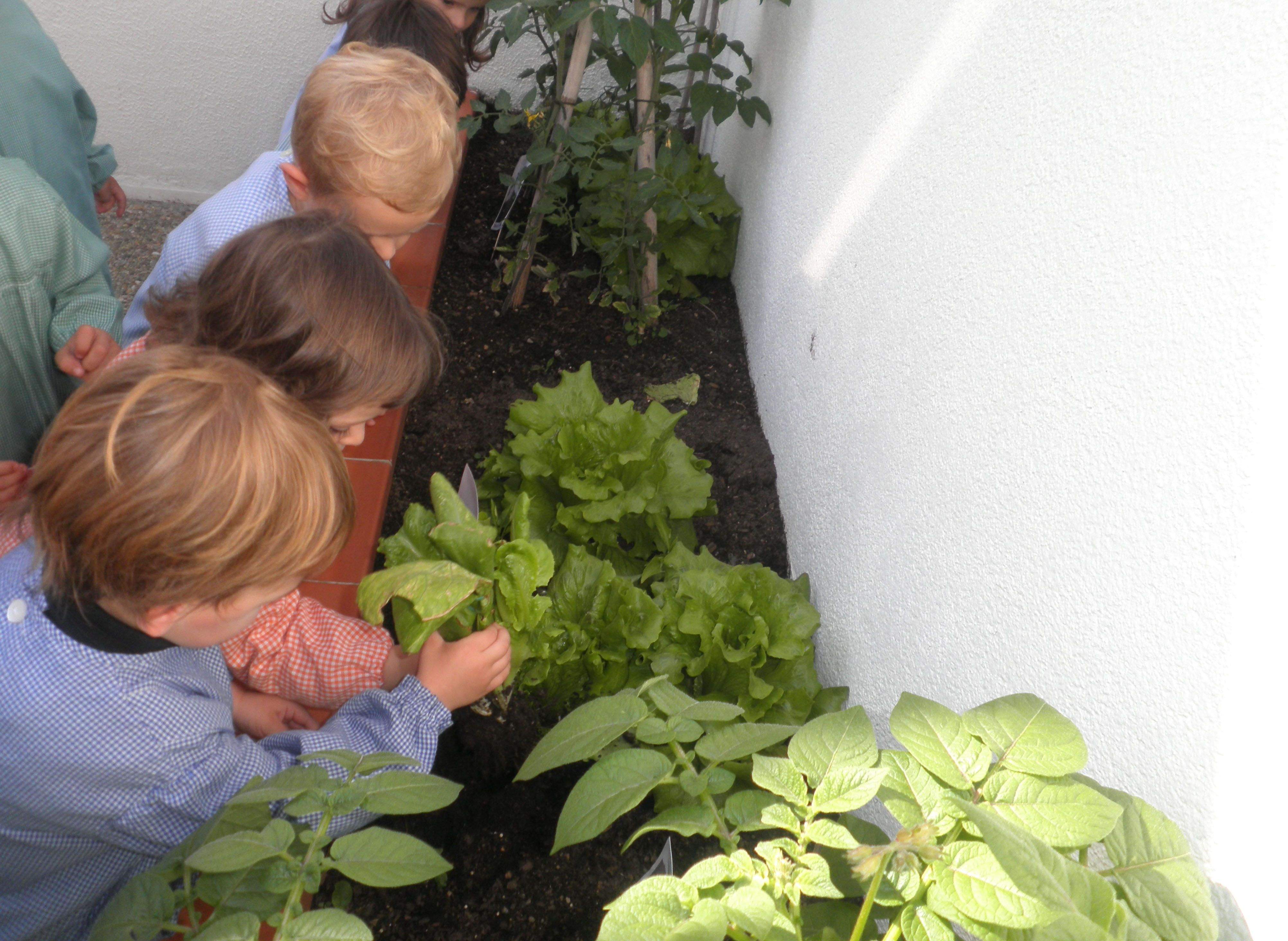 L’hort és una proposta per a l’experimentació FOTO: Cedida