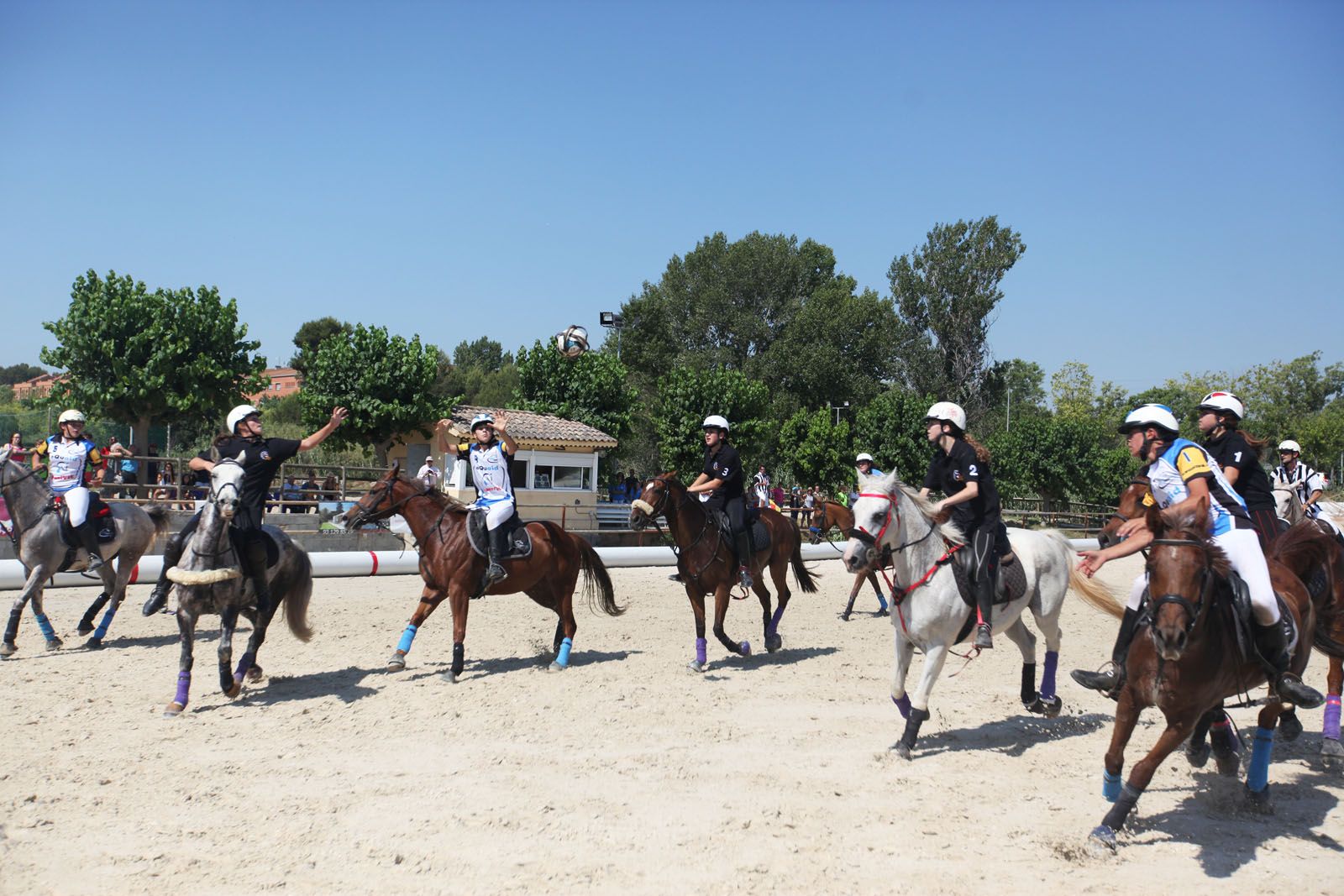 L'Hípica Can Caldés ha acollit aquest estatal. FOTO: Lali Puig L'Hípica Can Caldés ha acollit aquest estatal. FOTO: Lali Puig
