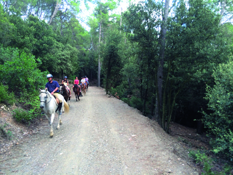 Rutes a cavall per l'entorn del Parc Natural de Collserola