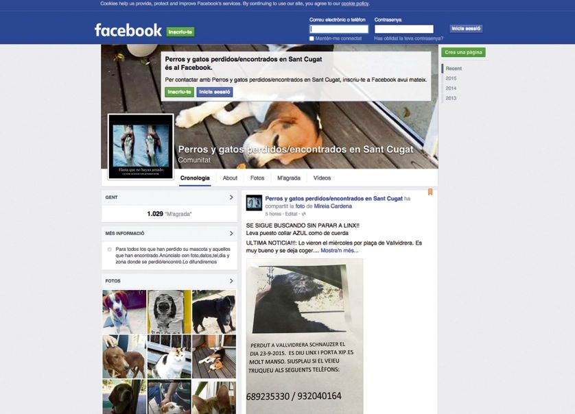 https://www.facebook.com/perrosygatosperdidoencontradossantcugat?fref=ts