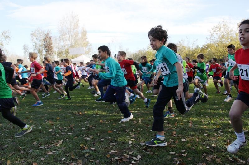 En el cros del 2014 hi van córrer 4.119 escolars. FOTO: Lali Puig