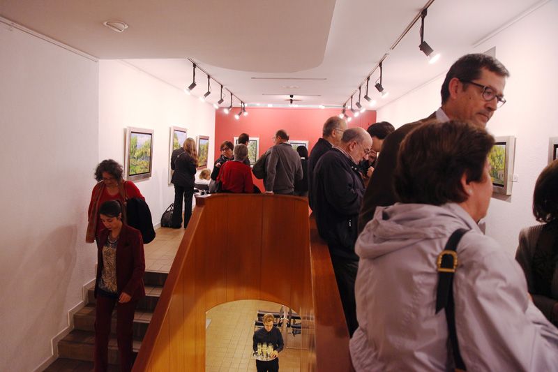L'exposició es podrà veure fins al 9 de desembre. FOTO: Lali Puig L'exposició es podrà veure fins al 9 de desembre. FOTO: Lali Puig