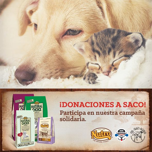 Cartell de l'acció solidària. FOTO: Cedida 