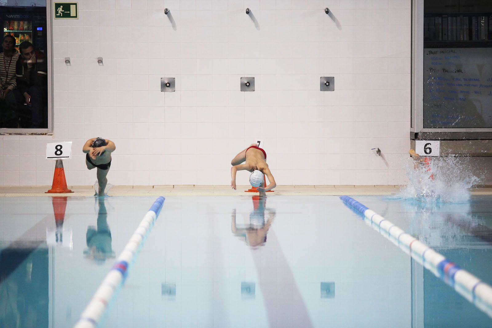 La competici&oacute; s'ha fet en les categories prebenjam&iacute;, benjam&iacute;, alev&iacute;, infantil i cadet FOTO: Lali Puig