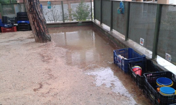 El drenatge de l'escola no funciona correctament FOTO: Cedida