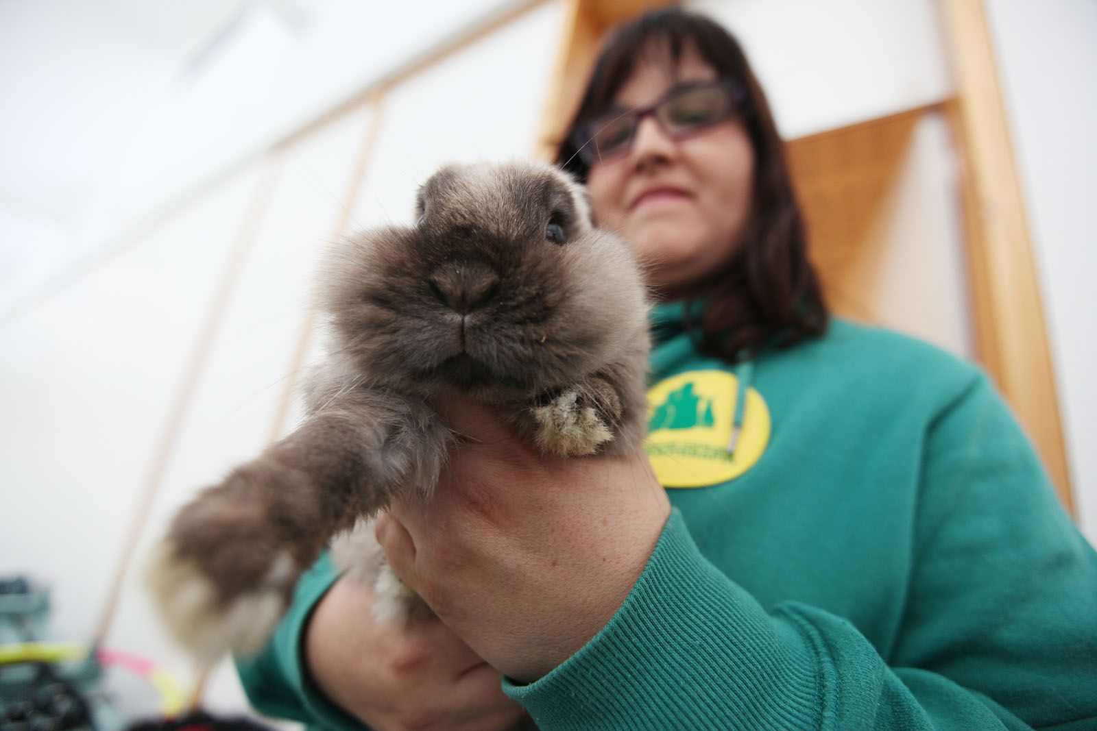 Leo és com un peluix, ideal per treballar amb nens amb autisme FOTO: Lali Puig Leo és com un peluix, ideal per treballar amb nens amb autisme FOTO: Lali Puig