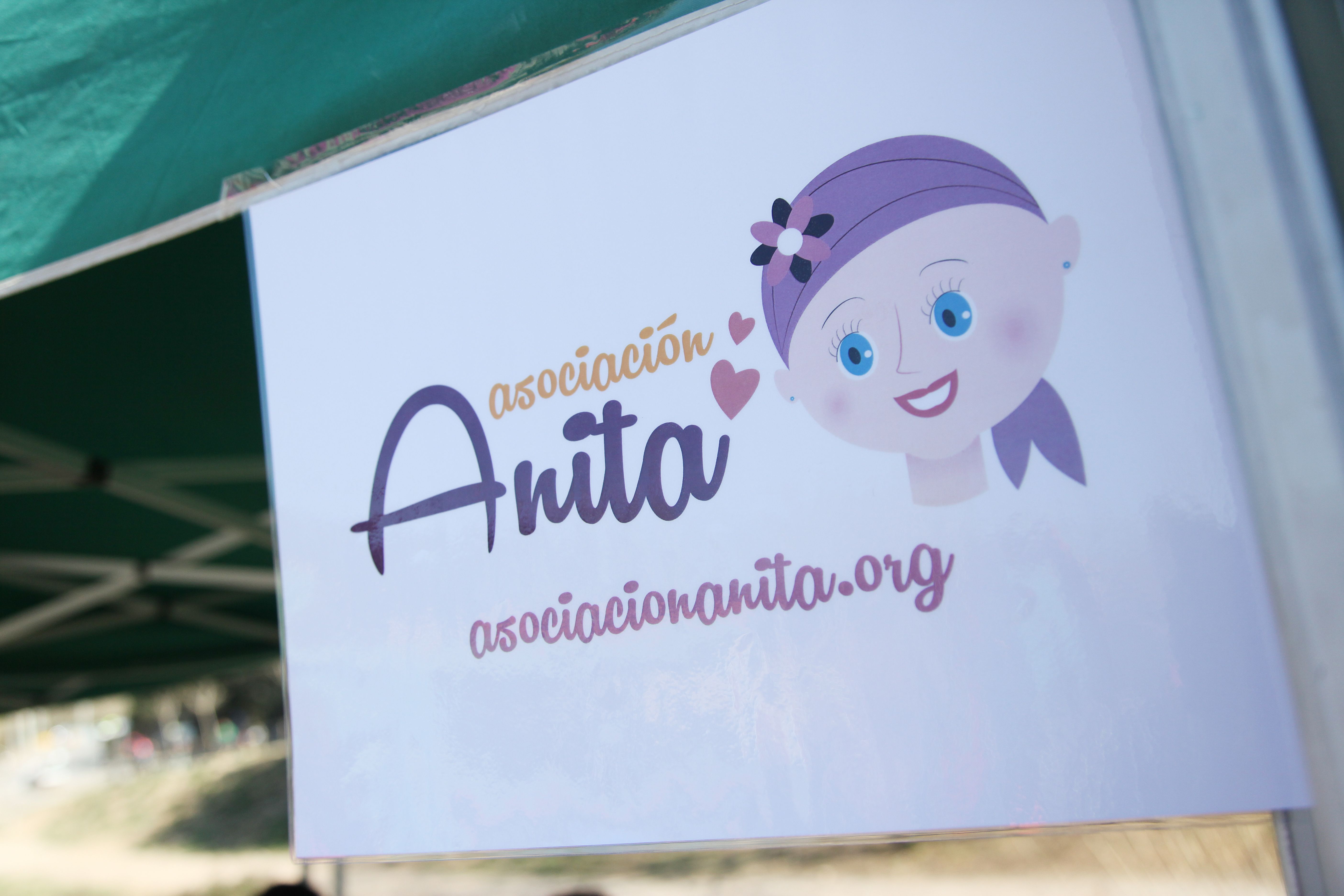 L'Associació Benèfica Anita organitza i col·labora amb diferents actes per recaptar diners per la investigació FOTO: Lali Puig
