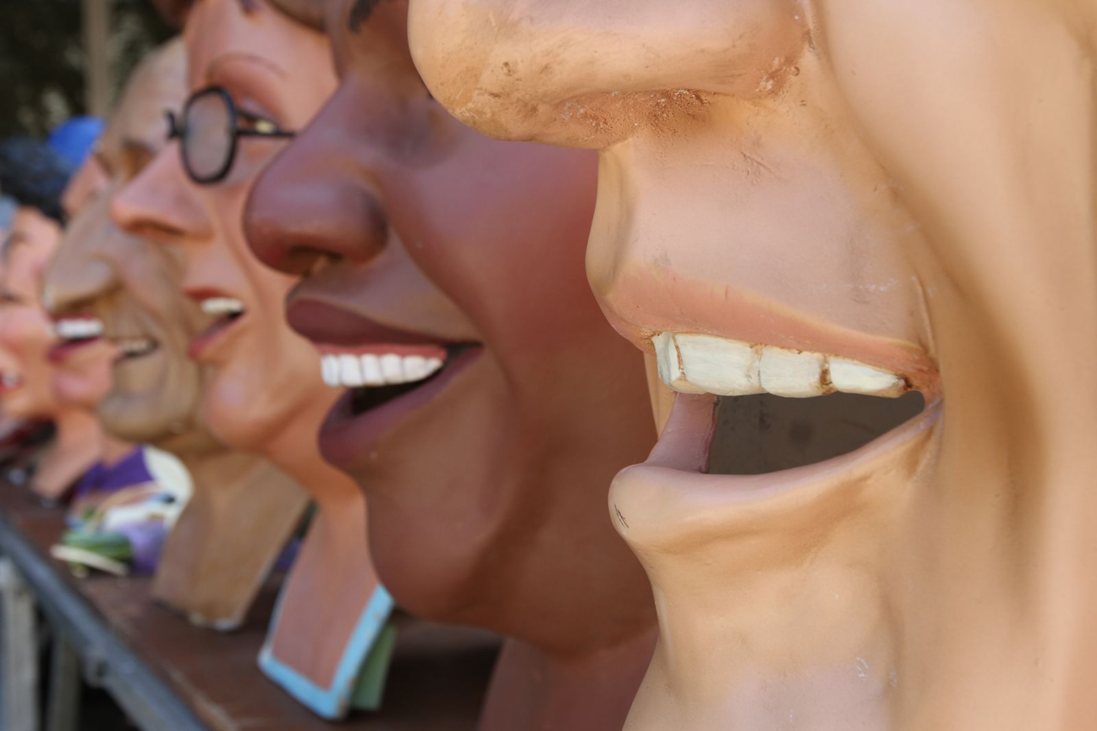  "Un dia sense un somriure &eacute;s un dia perdut" (C. Chaplin)  FOTO: Haidy Blanch 