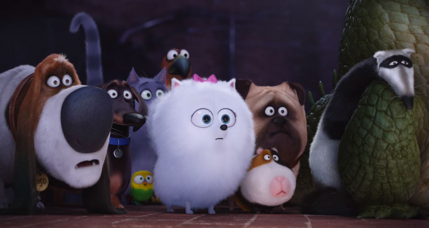 'Mascotas' 'Mascotas'