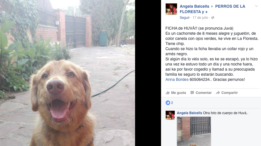 Perros de la Floresta y + ja compta amb més de 200 fitxes d'animals FOTO:  Redacció 