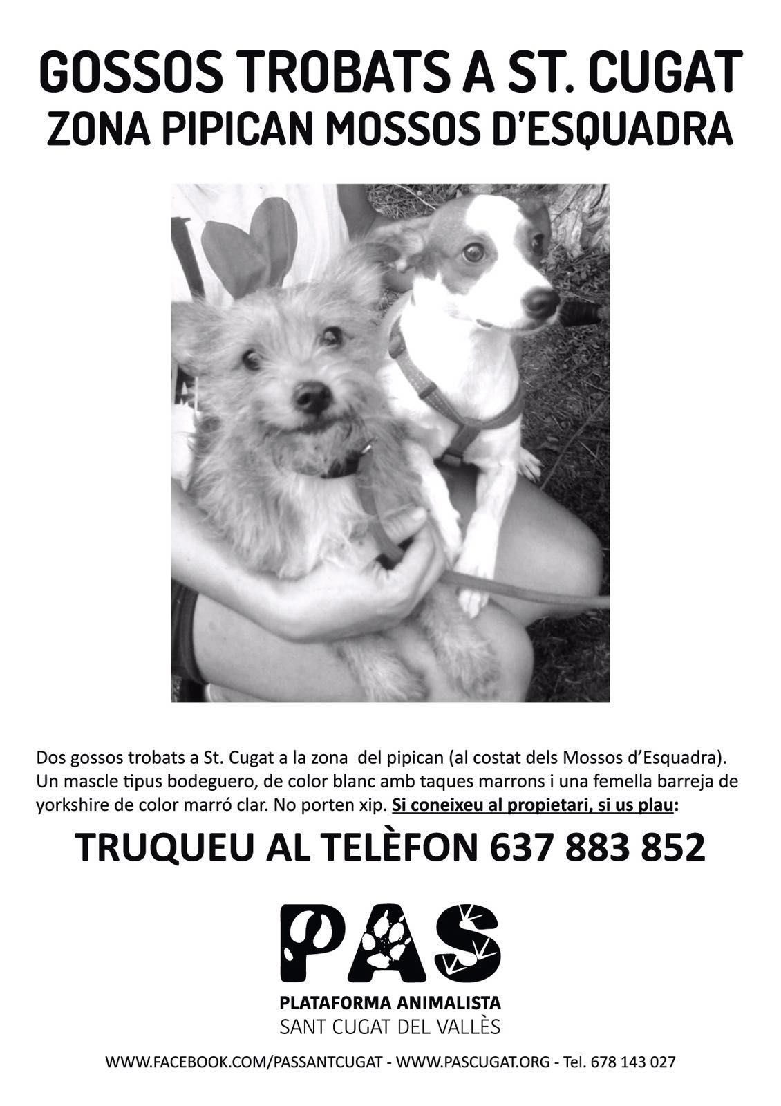 Van ser recollits dimecres a la tarda