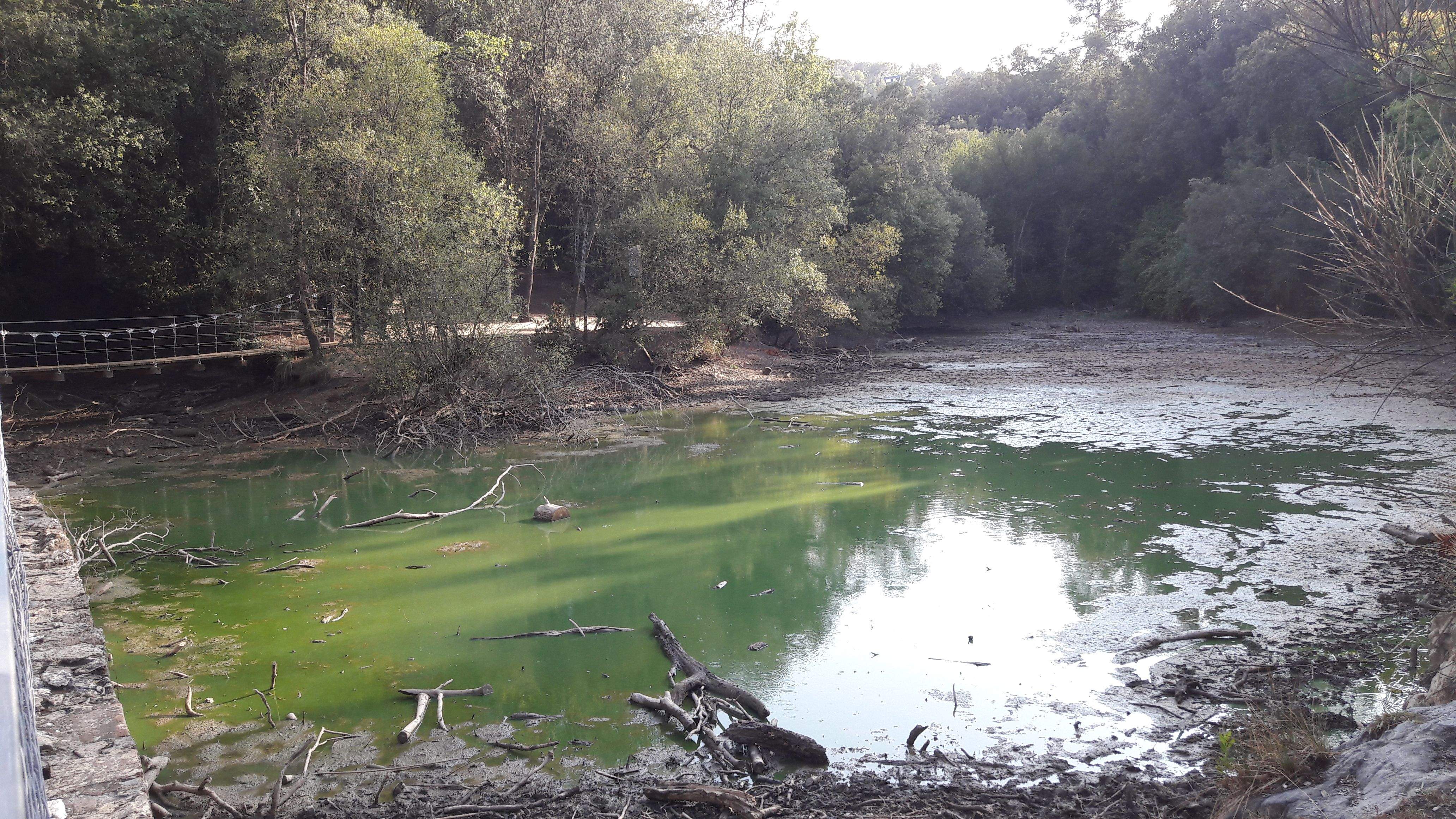 Fotografia del pantà de Can Borrell a finals d'aquest agost FOTO: Clara Rovira