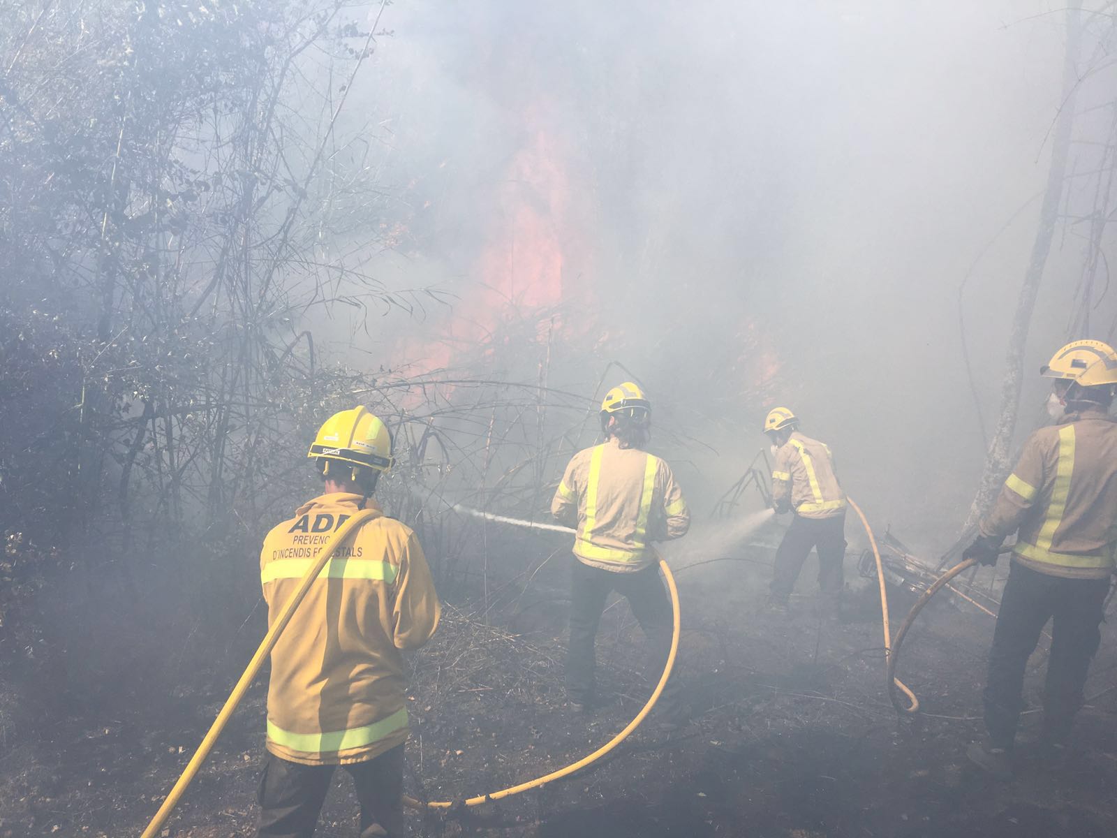 Voluntaris d'ADF fent tasques d'extinció en el foc d'aquest 2 de setembre FOTO: Cedida Voluntaris d'ADF fent tasques d'extinció en el foc d'aquest 2 de setembre FOTO: Cedida