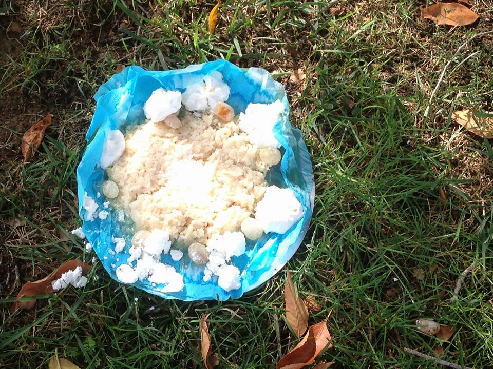 Els plats contenien menjar de tota mena FOTO: Cedida Clinica Veterniària Mira-sol