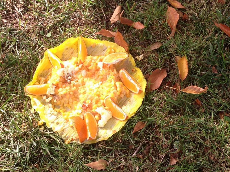 Un dels plats FOTO: Cedida Clinica Veterniària Mira-sol