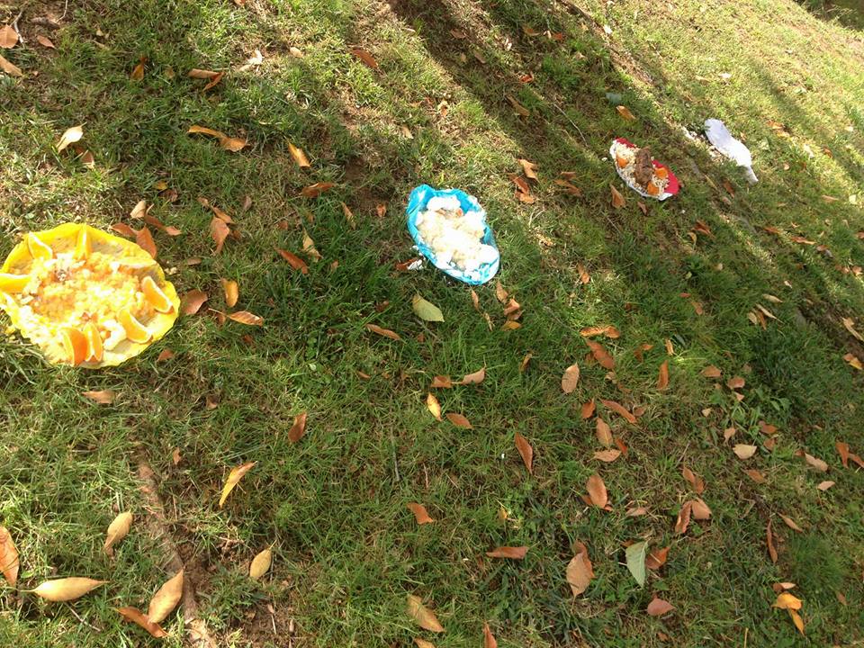 Hi havia fins a 4 plats FOTO: Cedida Clinica Veterniària Mira-sol