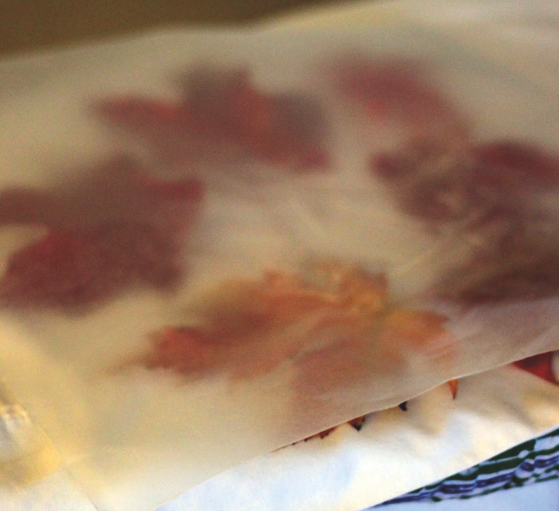 Es important que les fulles no es cremin FOTO: Cedida Es important que les fulles no es cremin FOTO: Cedida