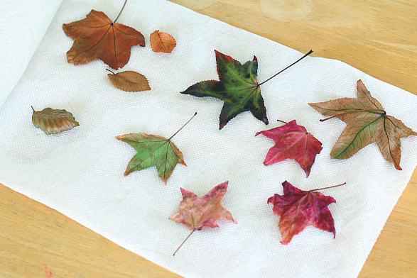 Seguir els passos de manualitats FOTO: Cedida Seguir els passos de manualitats FOTO: Cedida