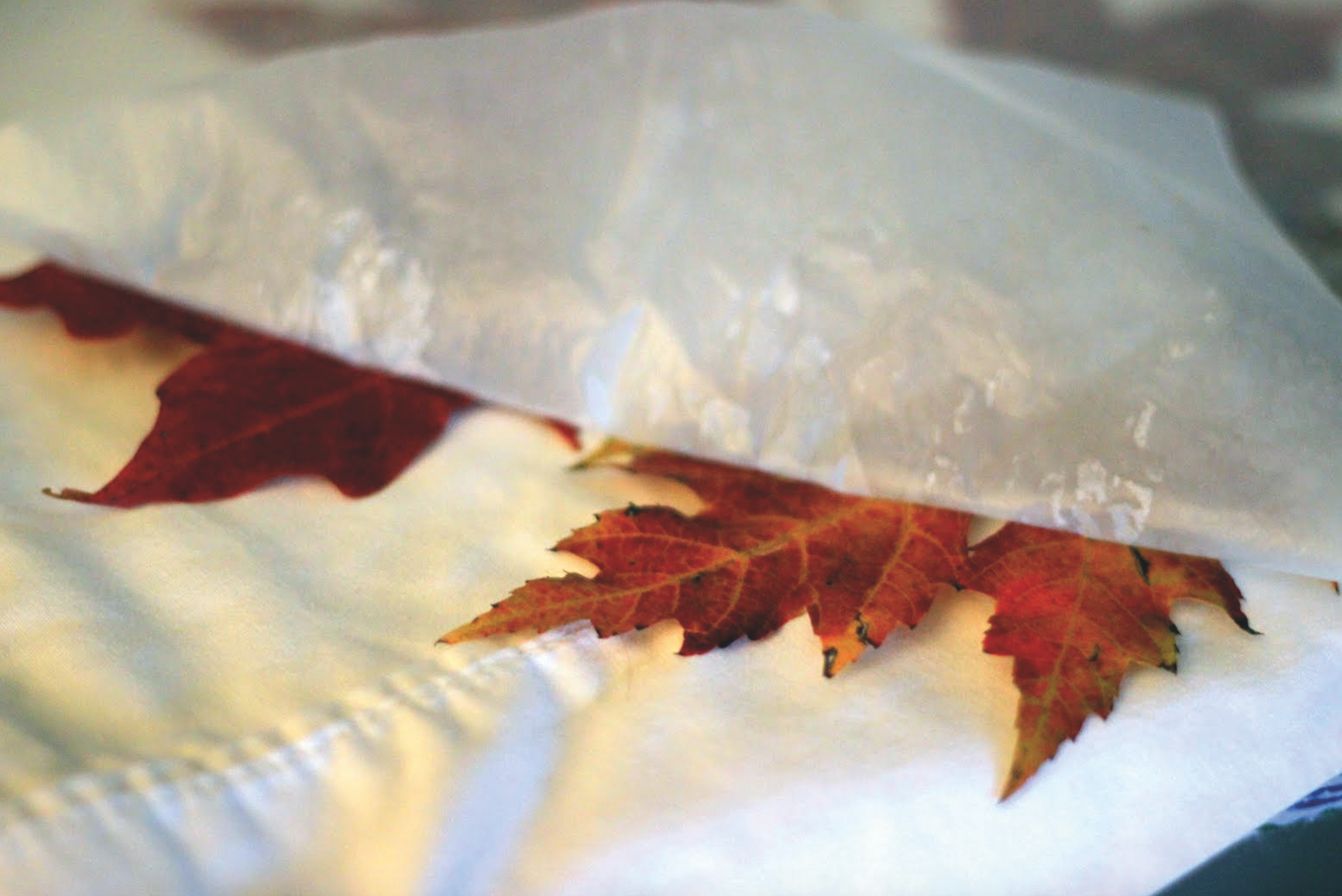 Un llibre pot servir fer pes sobre la fulla FOTO: Cedida