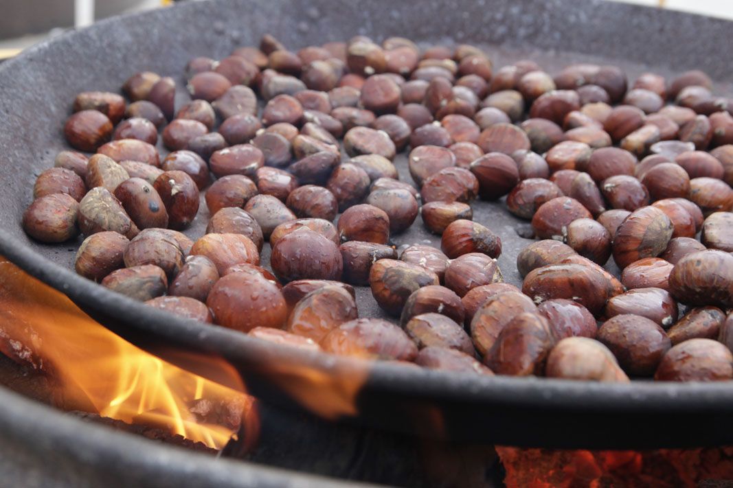 Ja hi ha casanyes a Sant Cugat FOTO: Artur Ribera