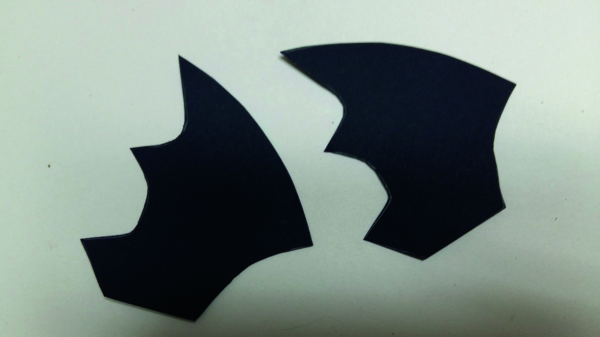 Les ales del ratpenat FOTO: Cedida Les ales del ratpenat FOTO: Cedida