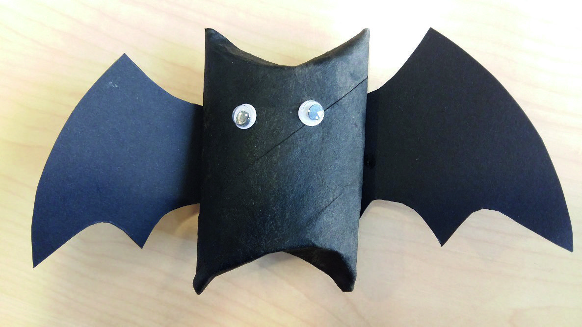 El ratpenat acabat FOTO: Cedida El ratpenat acabat FOTO: Cedida