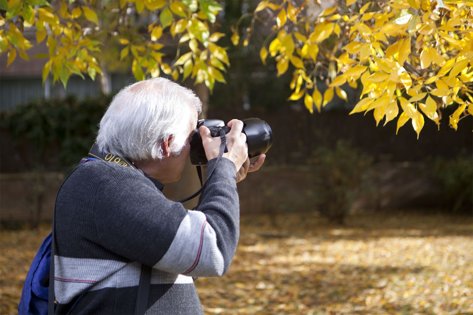 Entre les seves passions hi ha la cultura popular i la natura  FOTO: Artur Ribera