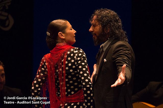 'Voves' s'ha pogut veure el 27 de gener FOTO: Localpres