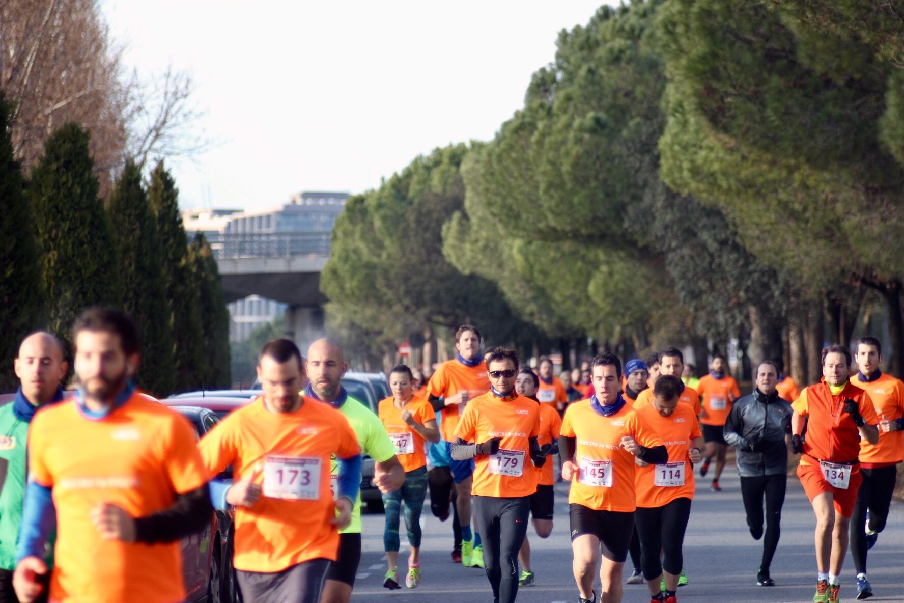 Imatge dels participants en la cursa FOTO: Ale Gómez