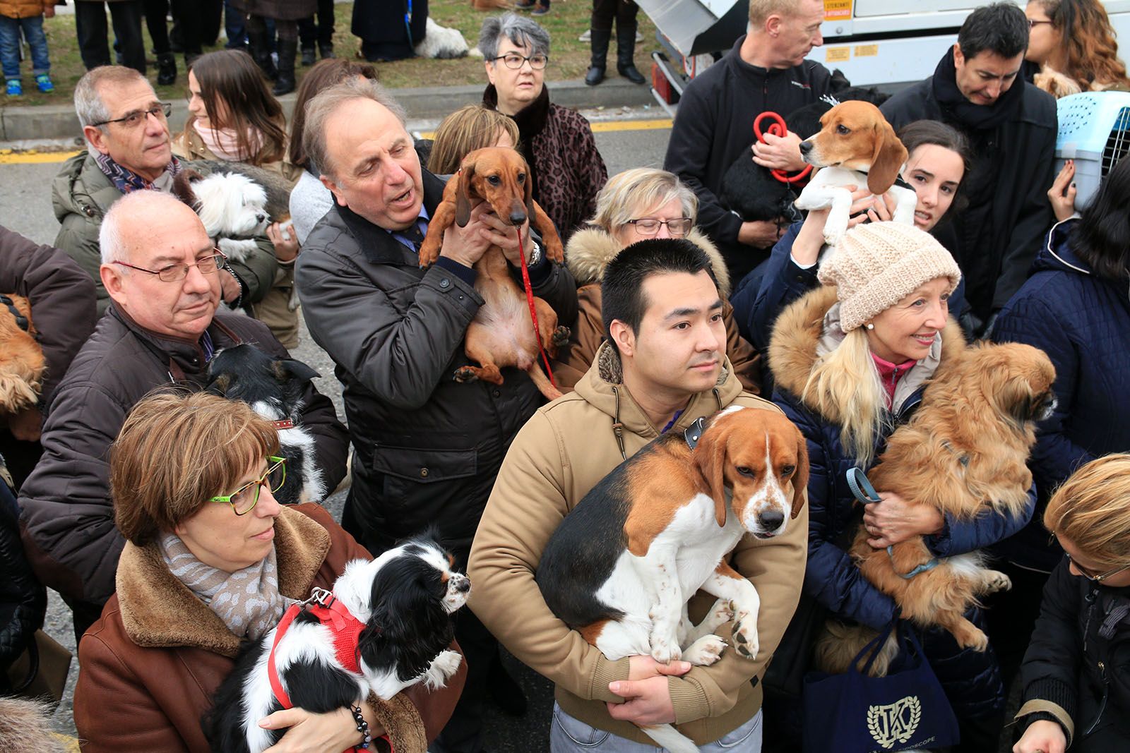 Els gossos eren els animals més presents esperant la benedicció FOTO: Lali ÁLvarez