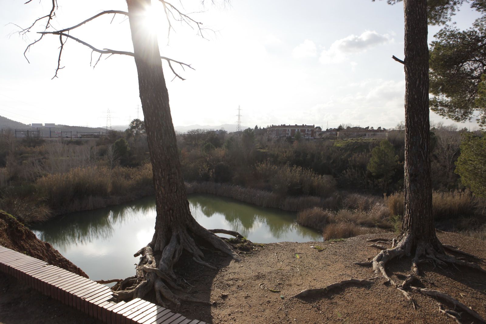 L'actuaci&oacute; preserva el patrimoni ecol&ograve;gic  FOTO: Artur Ribera