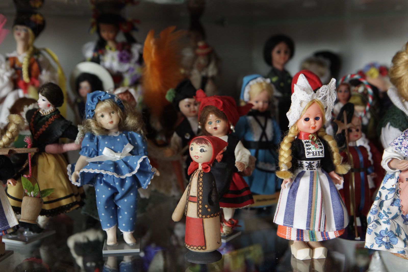 la col&middot;lecci&oacute; supera els 400 exemplars. FOTO: Artur Ribera