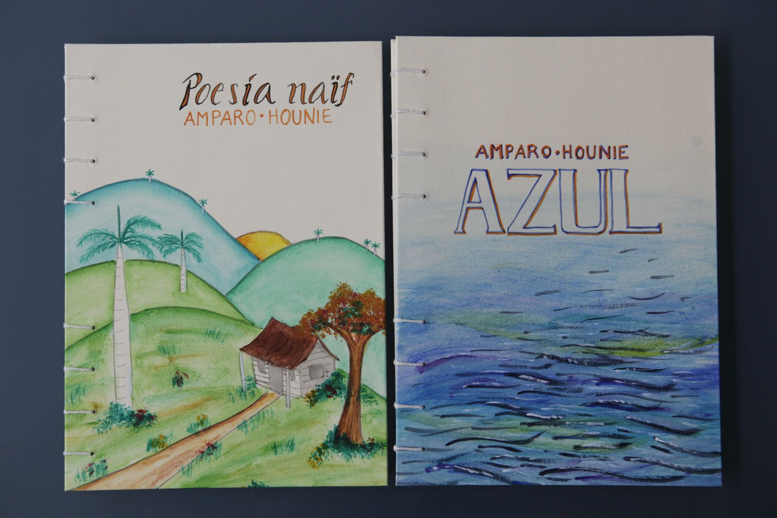 Les dues propostes editorials de Hounie  FOTO: Artur Ribera