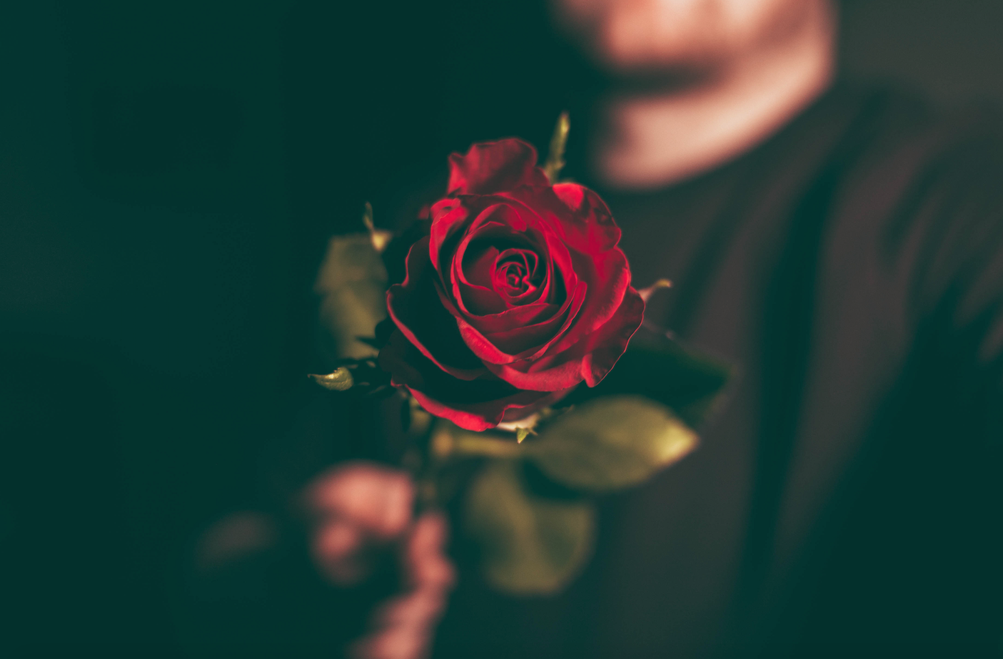 Les roses és els regals més preuats del Sant Jordi FOTO: Cedida