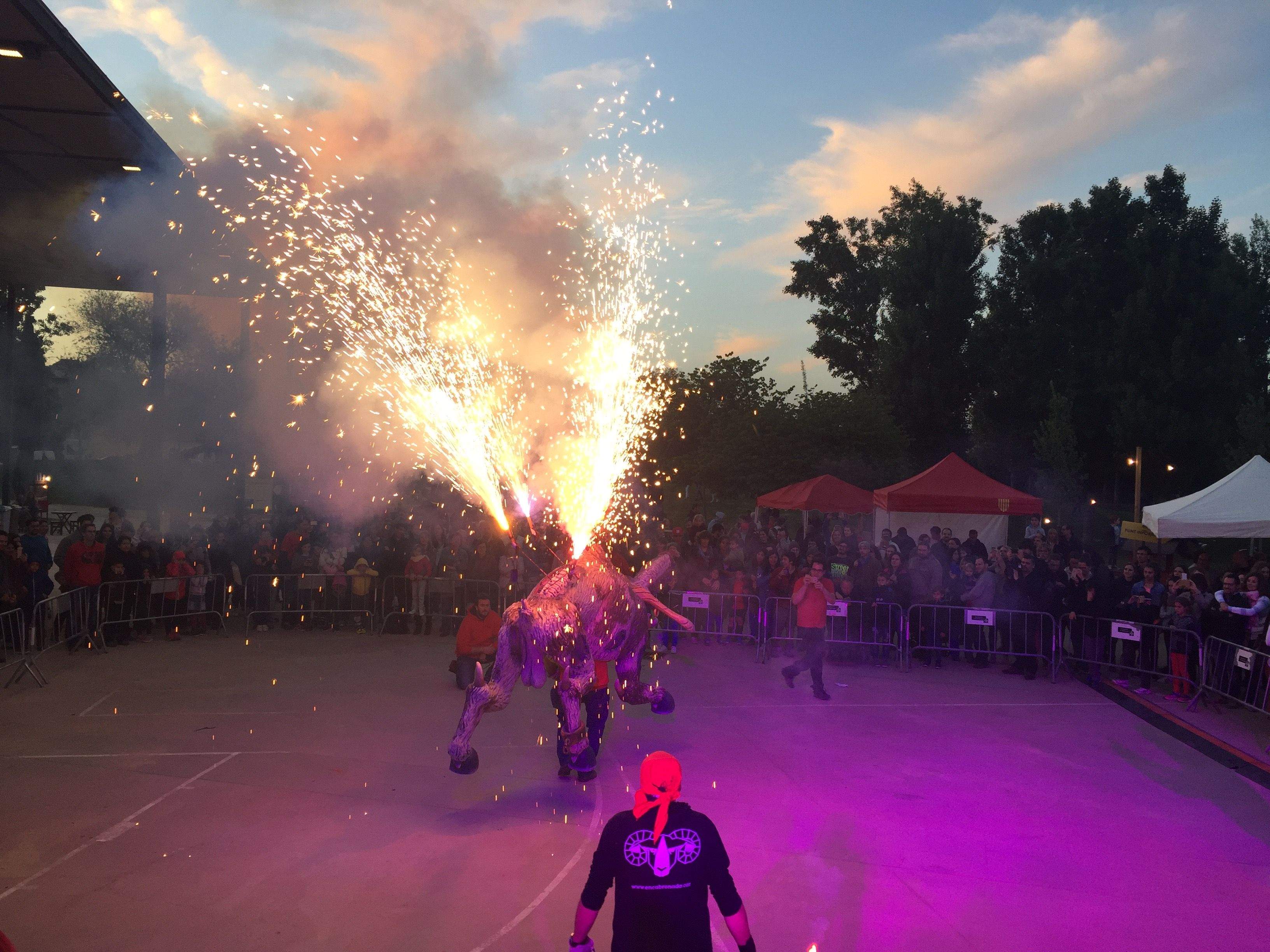S'ha fet una mostra de pirot&egrave;cnia. FOTO: C. Caball&eacute;