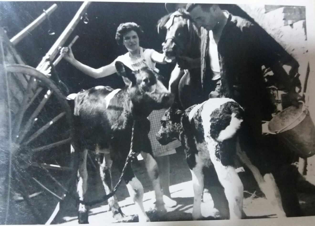 La família de Mercè Pou va comprar la casa a principis de segle FOTO: Cedida