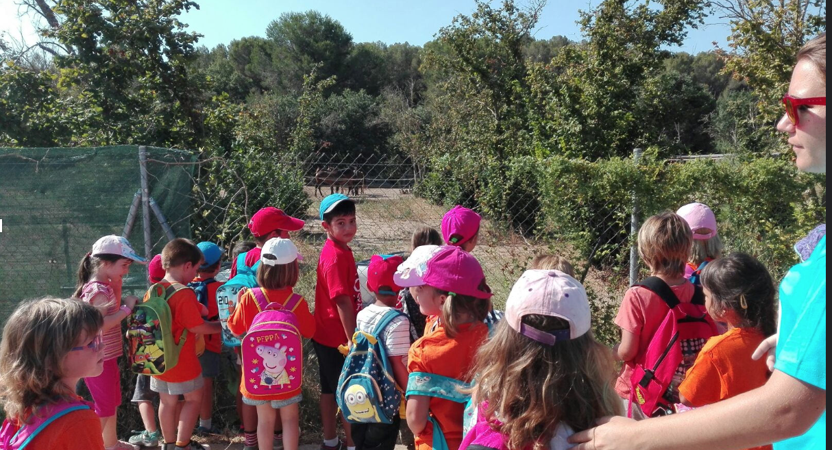 Els infants en una activitat FOTO: Cedida