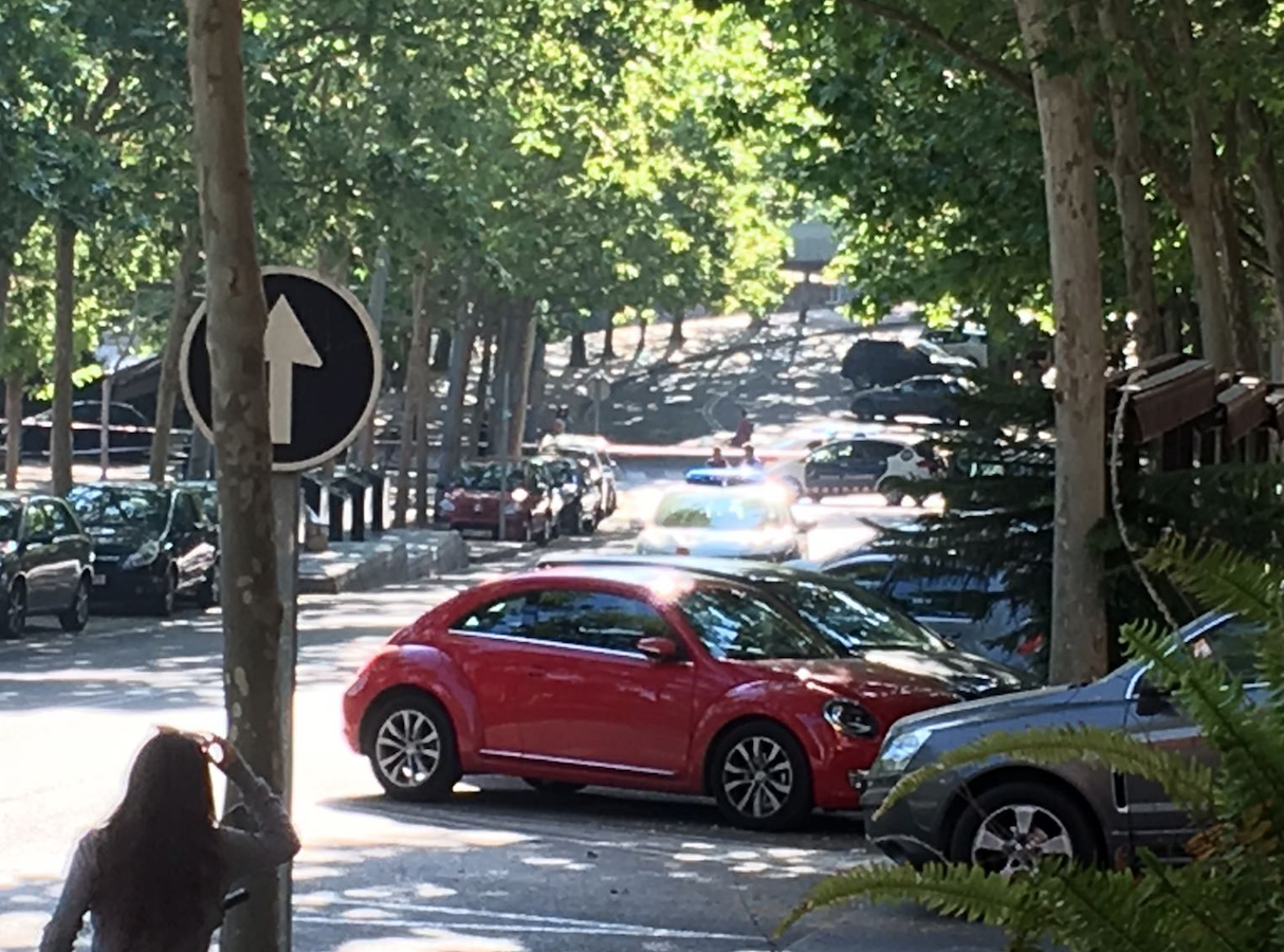 Mossos d'Esquadra a la zona