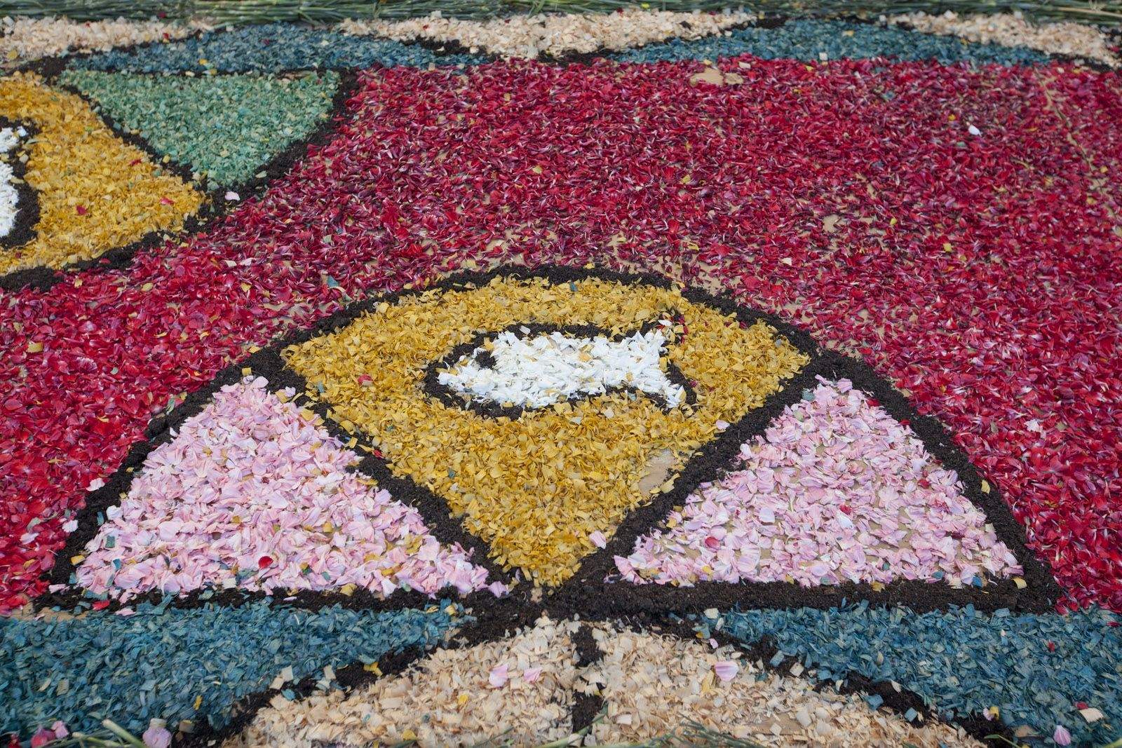 Detall de la tradicional catifa de flors del Corpus Christi a Sant Cugat FOTO: Lali Puig