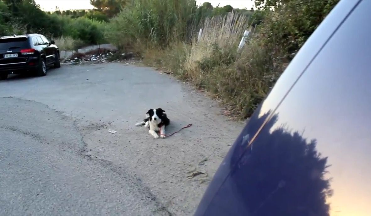 imatge del vídeo del grup guanyador FOTO: Cedida imatge del vídeo del grup guanyador FOTO: Cedida