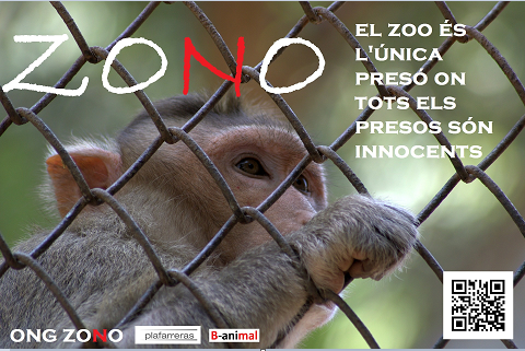 Una de les propostes presentades FOTO: Cedida Una de les propostes presentades FOTO: Cedida