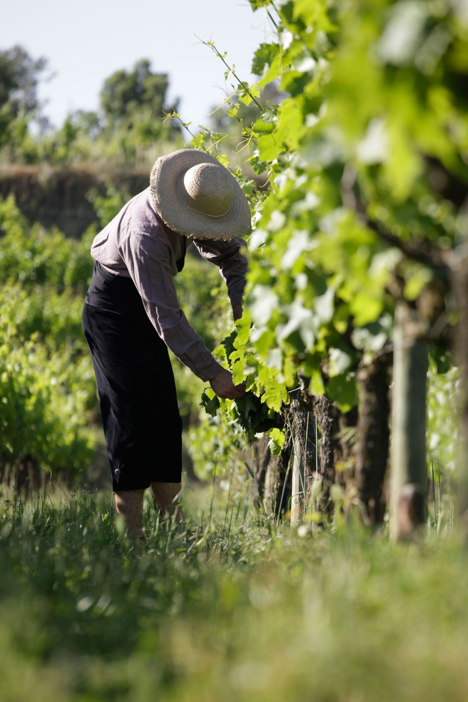 Fotografia del making of de la portada Fotografia del making of de la portada