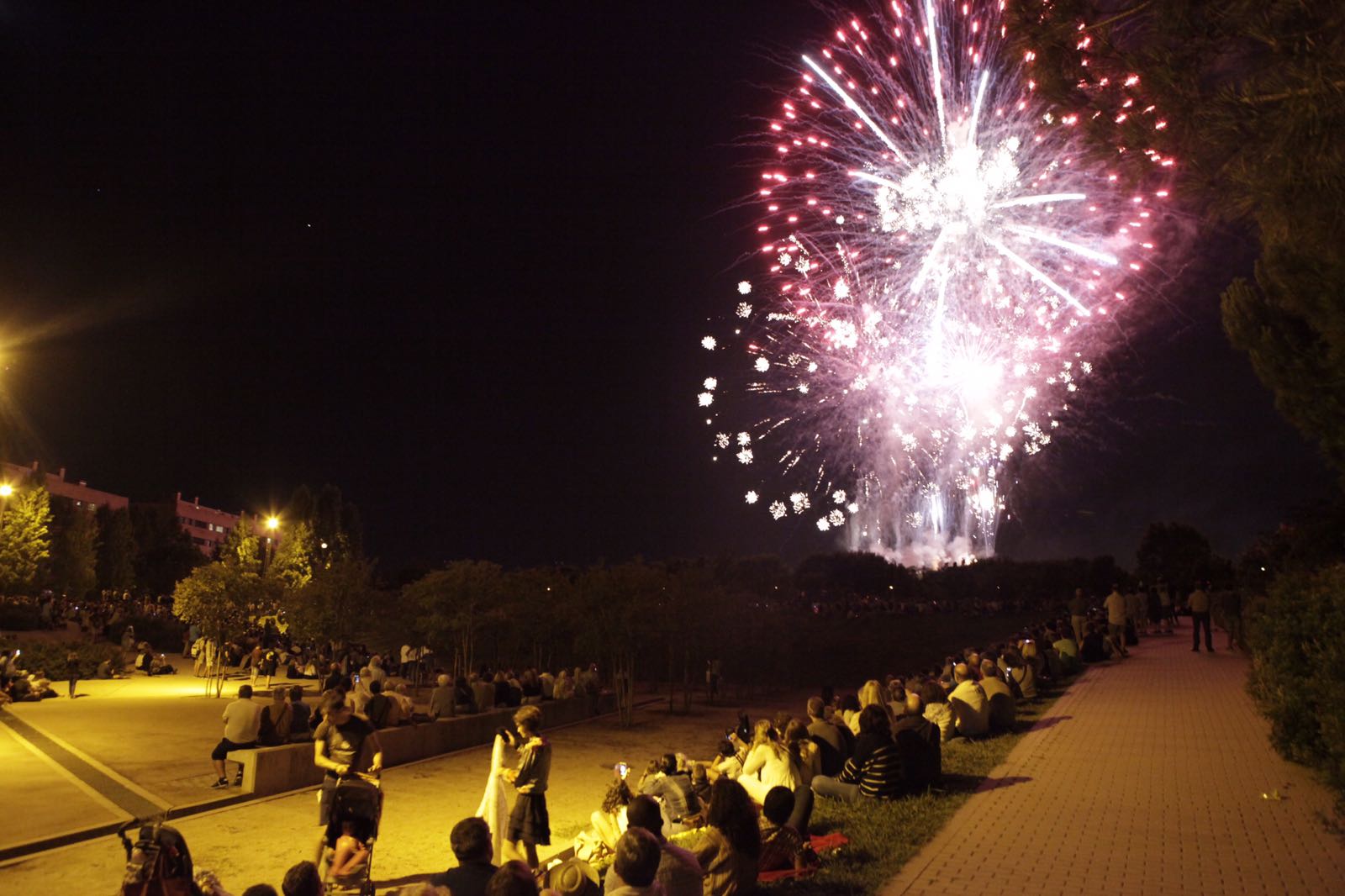 Moment del castell de focs FOTO: Artur Ribera 