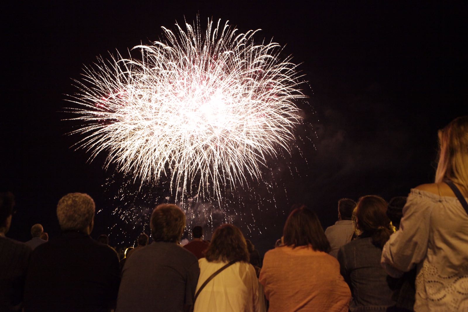 Moment del castell de focs FOTO: Artur Ribera 