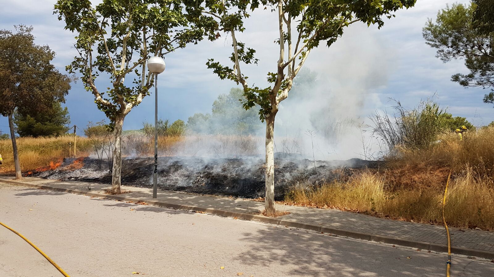 WhatsApp Image 2017 07 21 at 12.28.15(1)