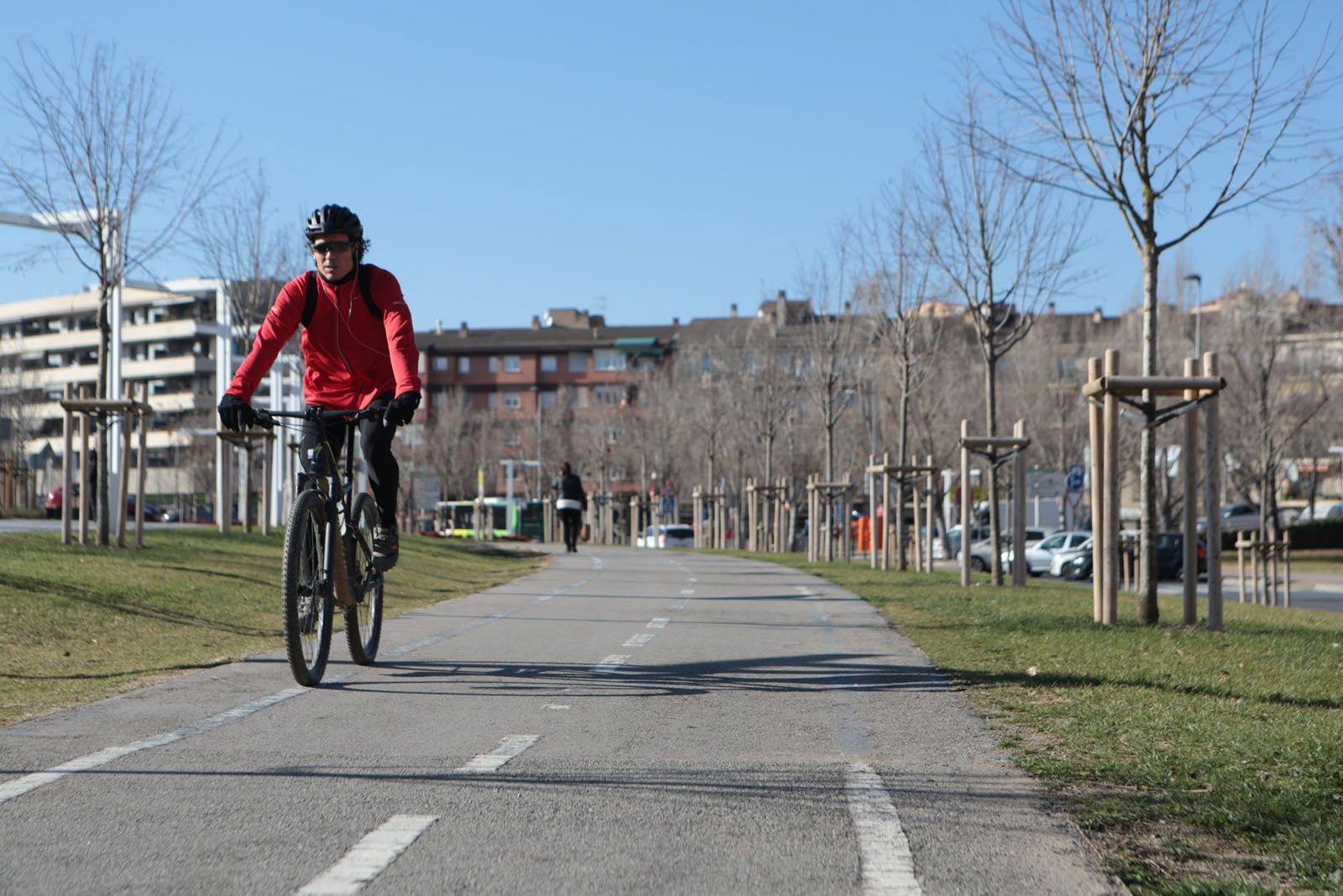 Part dels pollancres de la rambla del Celler ja es van retirar i es van substituir per til&middot;lers FOTO: Artur Ribera