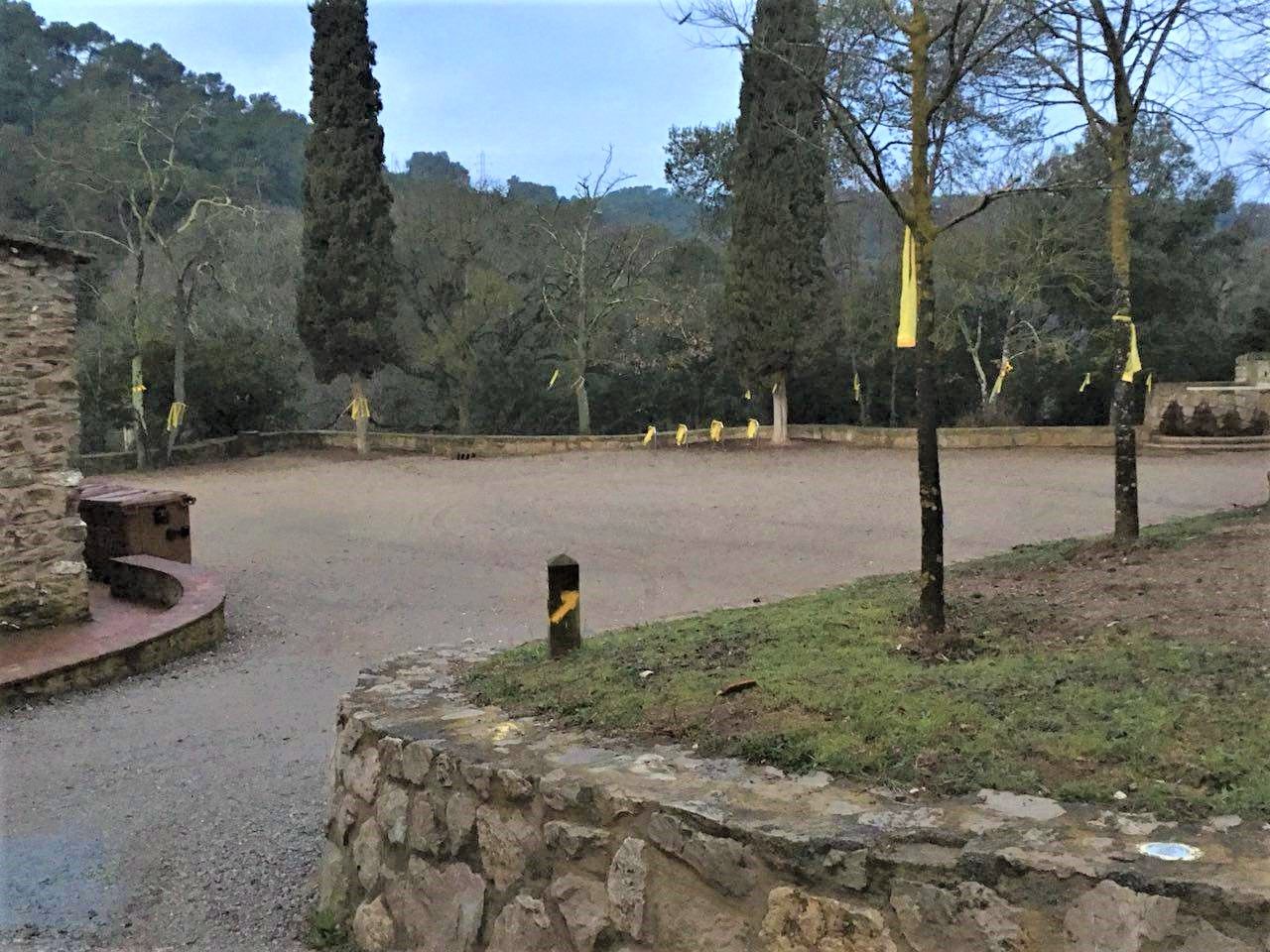 Així s'ha despertat el camp del miracle 